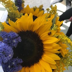 Meet your Posher, Kara